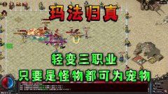 ��䴫���������ȫ���� �������׶���ʵ����Ϸ������ϸ����